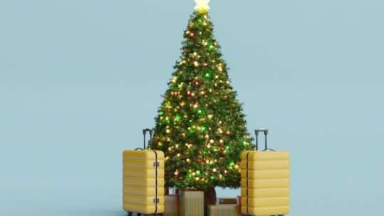 A Christmas tree with luggage placed around it.